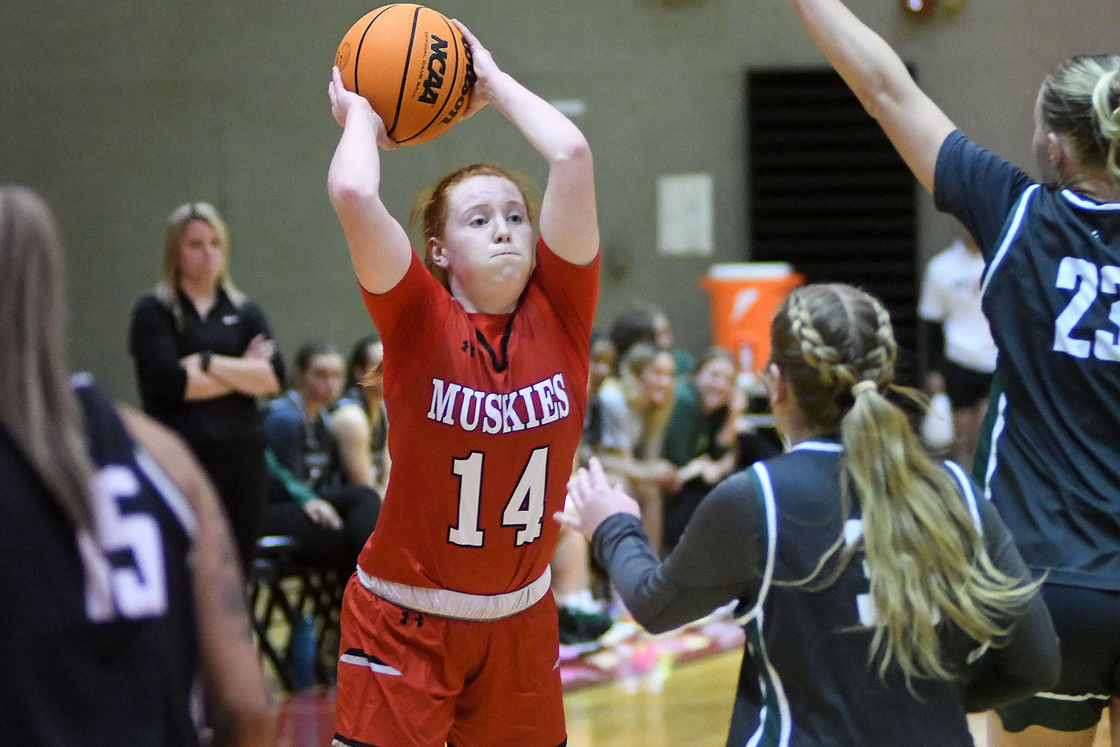 claudia-harrington-03