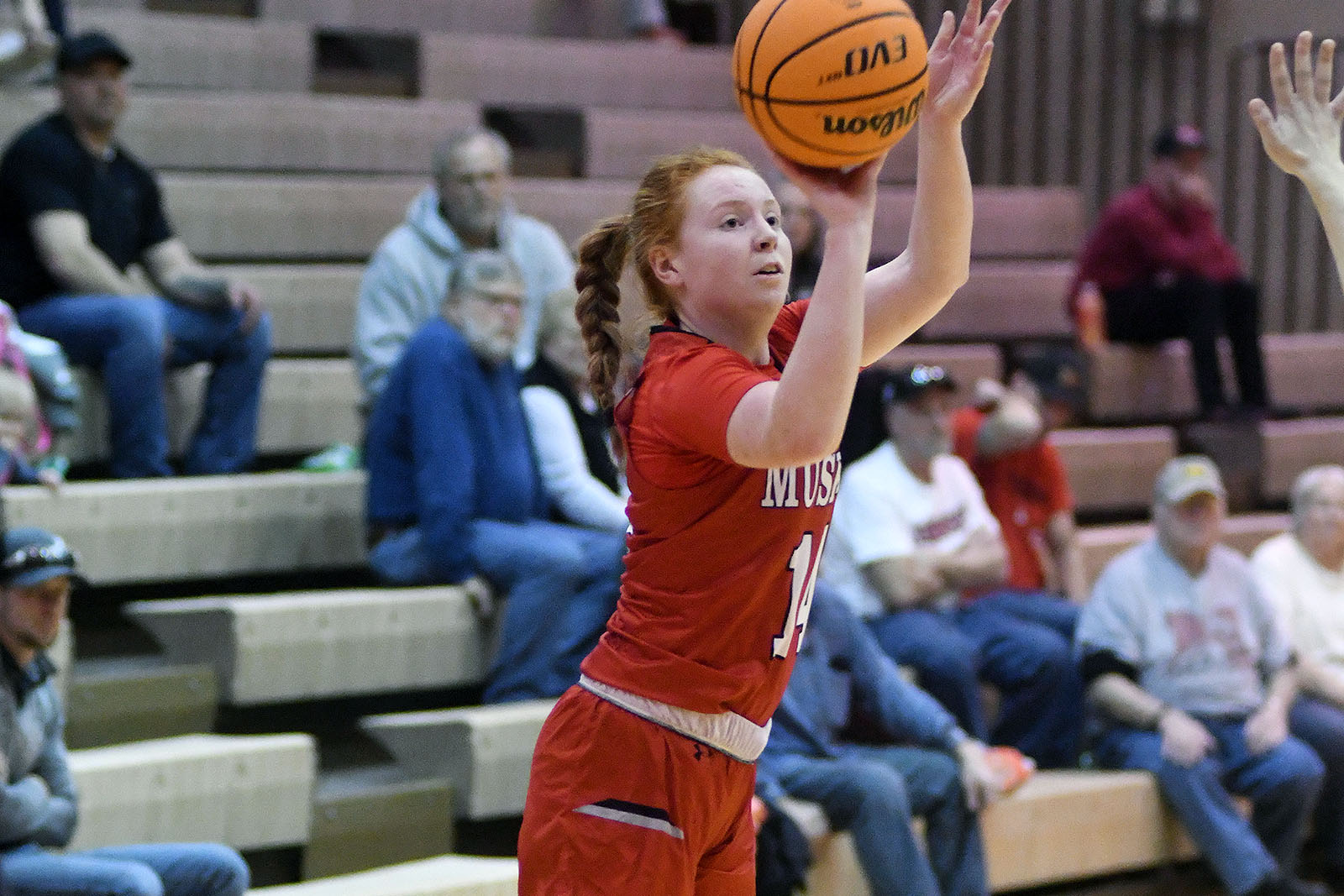 claudia-harrington-11