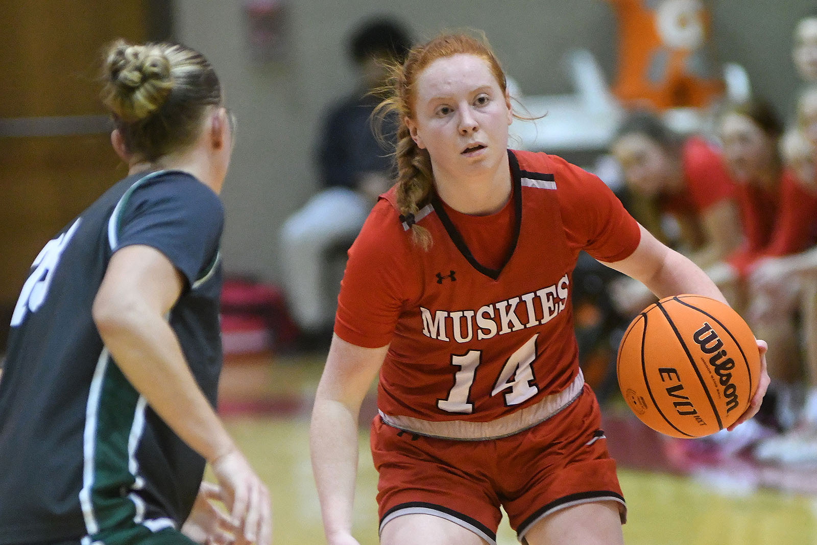 claudia-harrington-12