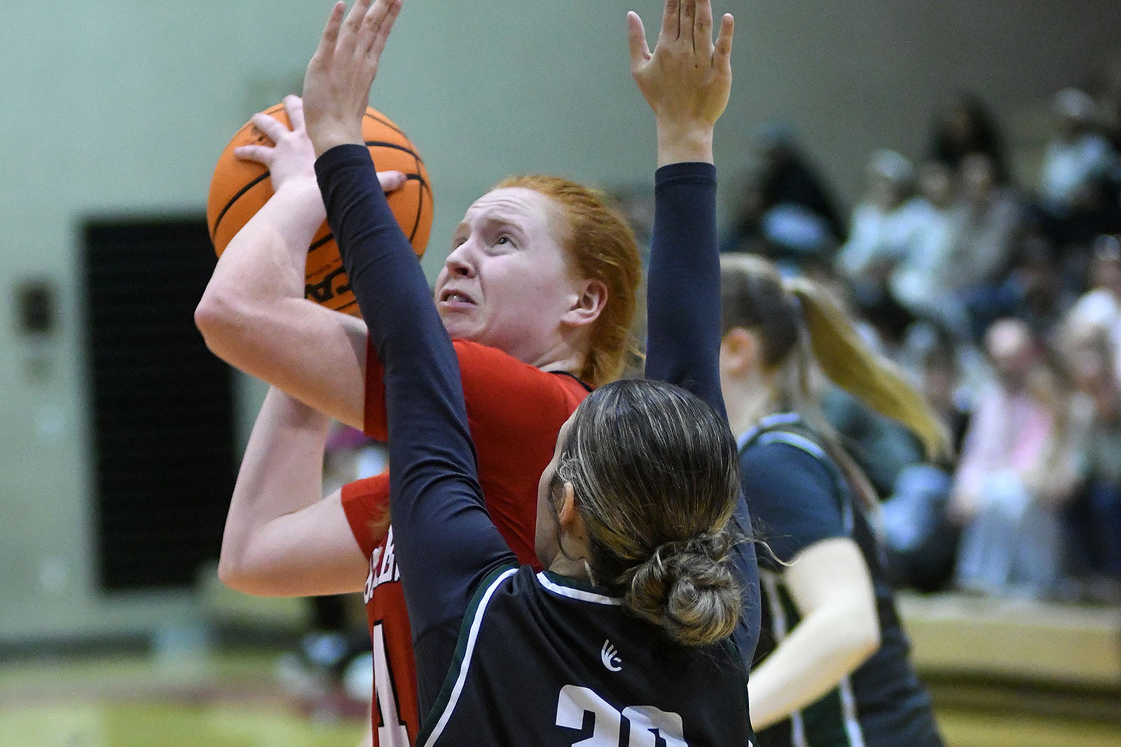 claudia-harrington-16