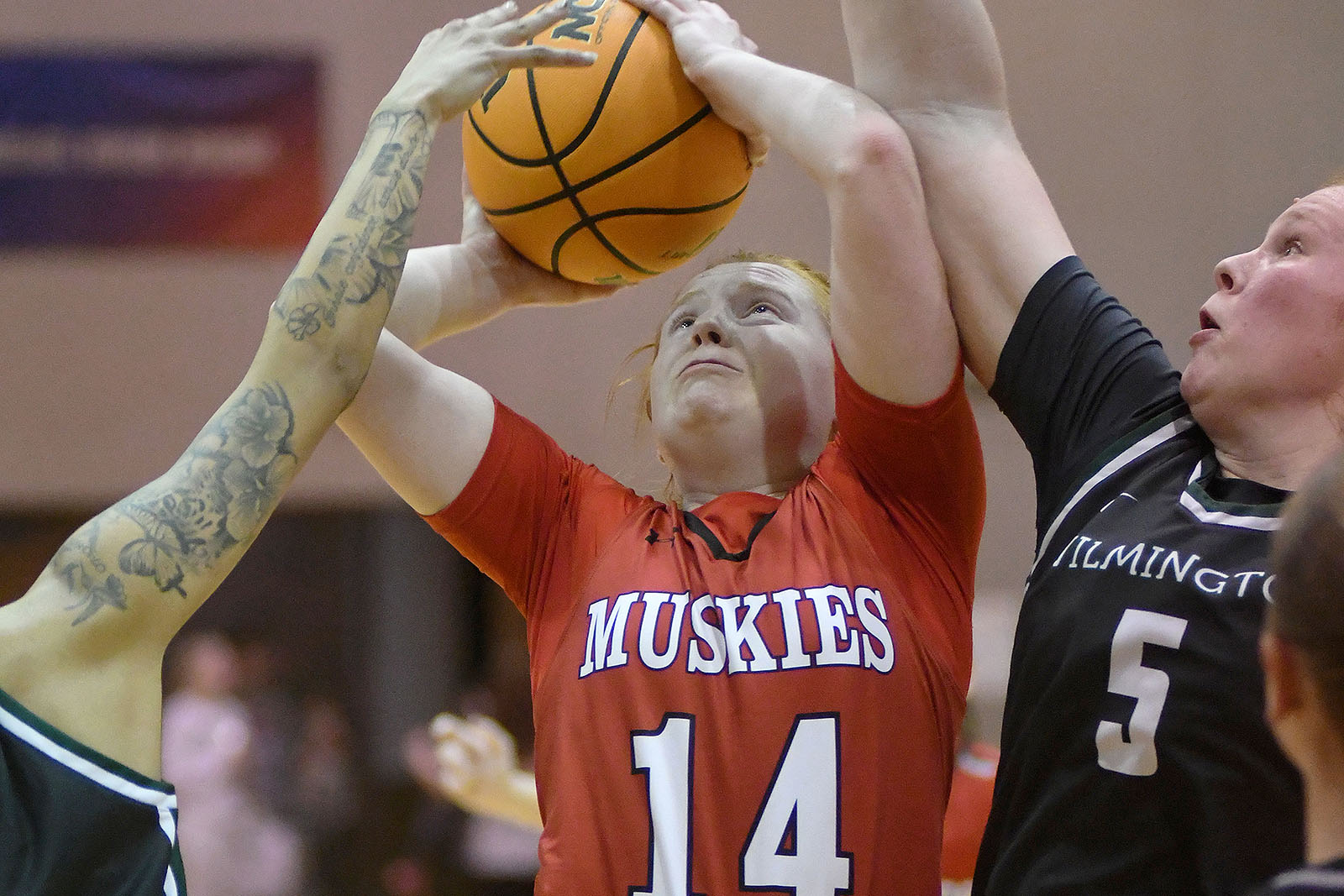 claudia-harrington-17